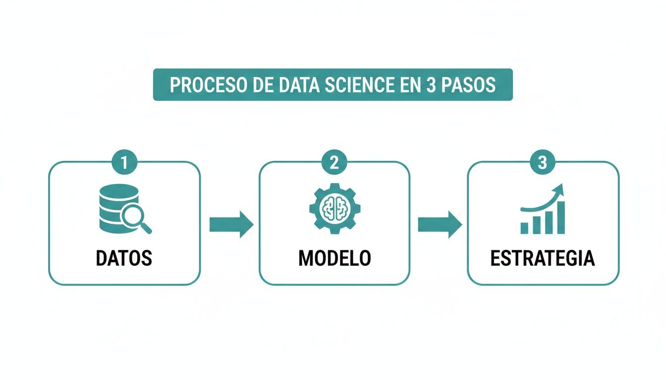 Diagrama del proceso de Data Science en 3 pasos: datos, modelo y estrategia.