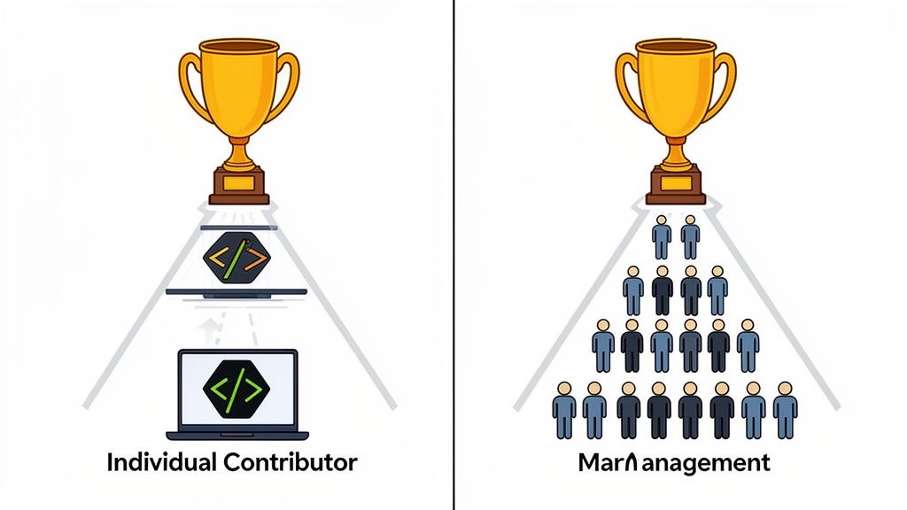 Dos rutas al éxito laboral: contribuidor individual (programador) y liderazgo de equipos (gerencia), simbolizado por un trofeo.